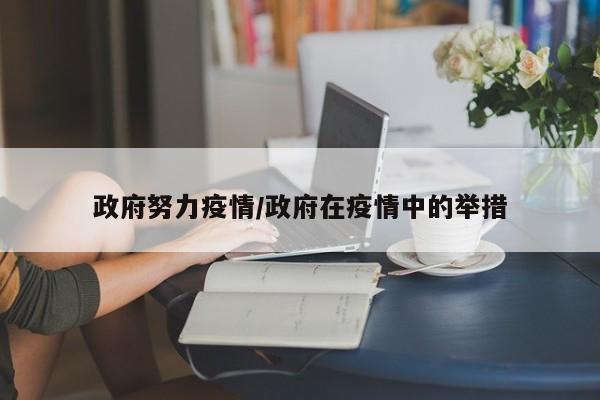 政府努力疫情/政府在疫情中的举措
